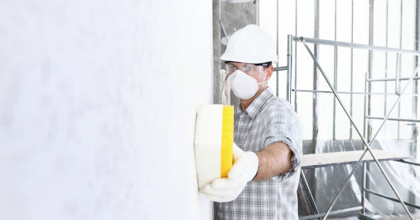 Mold Remediation for Rental Properties in Galva, IL